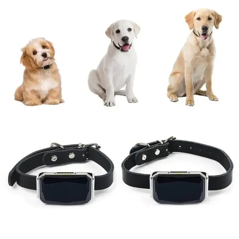 FurBond TrackPaw™ — Real-Time GPS Pet Tracker