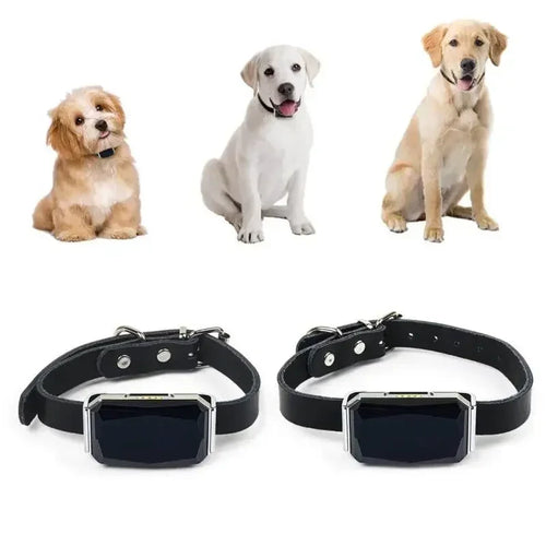 FurBond TrackPaw™ — Real-Time GPS Pet Tracker