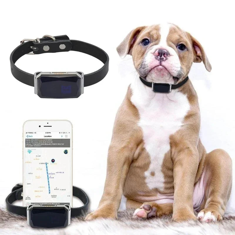 FurBond TrackPaw™ — Real-Time GPS Pet Tracker
